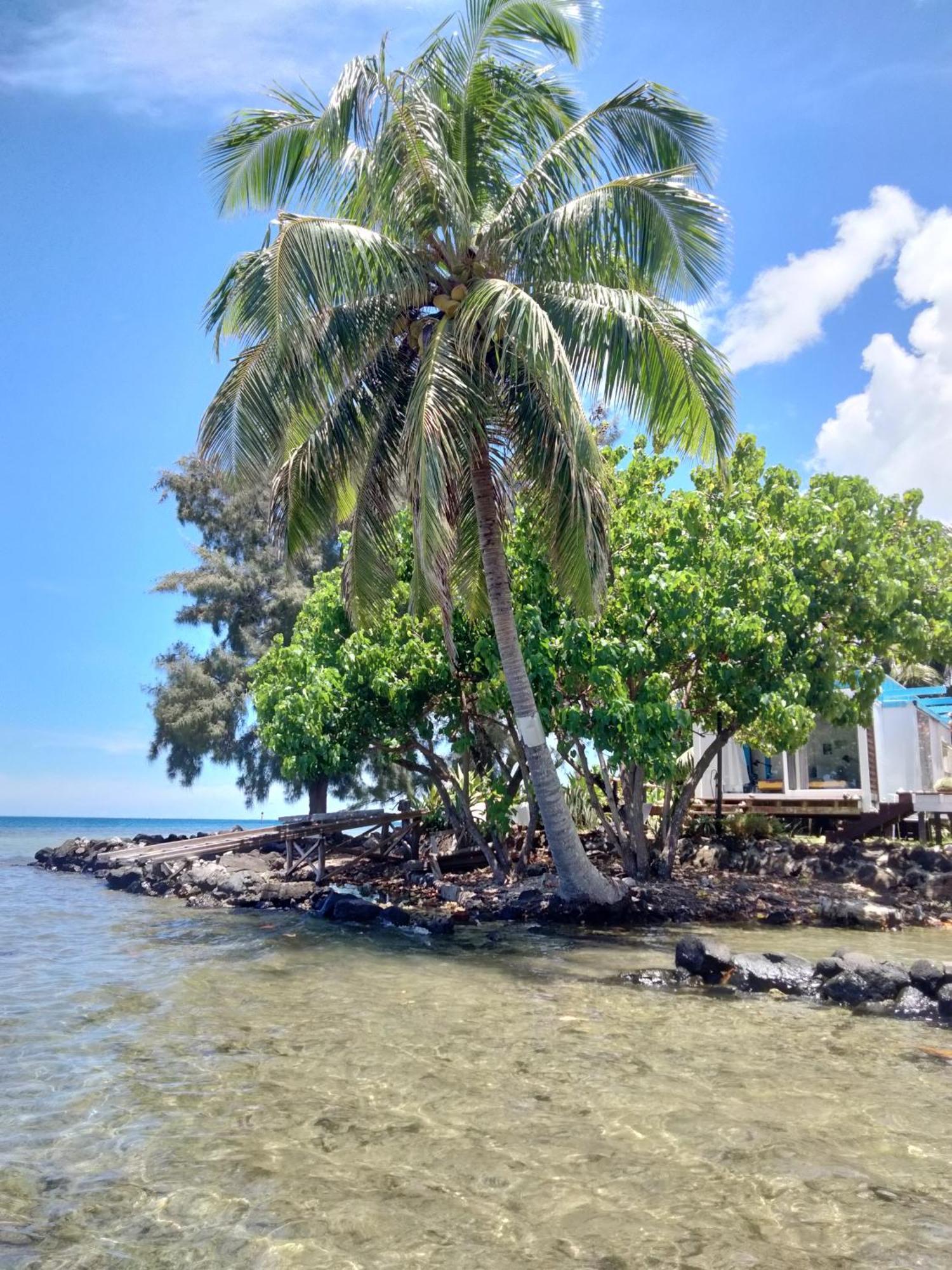 Bungalow Vue Lagon 180 Degre, La Maison Bleue Moorea Exterior foto