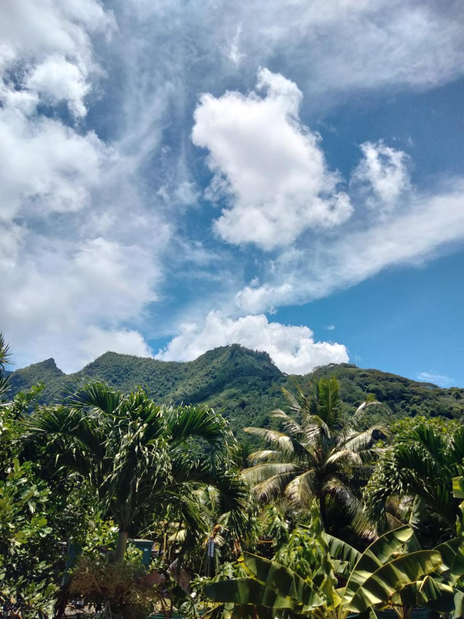 Bungalow Vue Lagon 180 Degre, La Maison Bleue Moorea Quarto foto